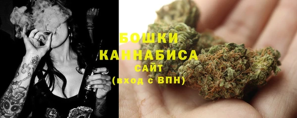 молекула духа Бородино