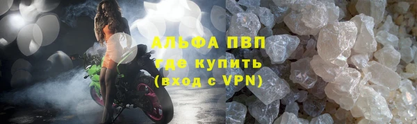 молекула духа Бородино