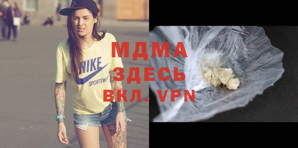 молекула духа Бородино