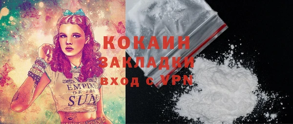 молекула духа Бородино