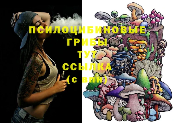 эйфоретик Бугульма
