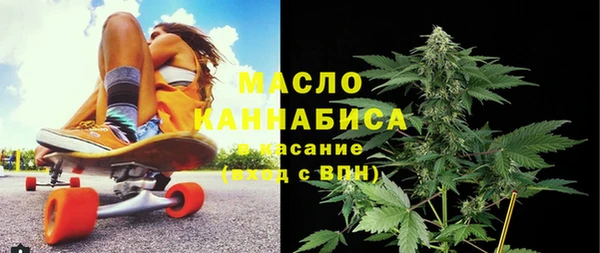молекула духа Бородино