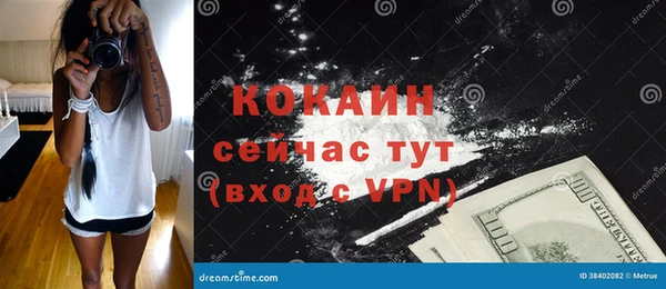 молекула духа Бородино