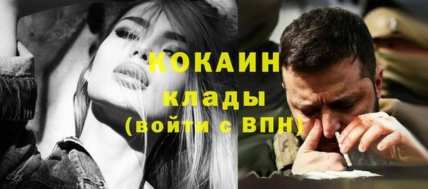 молекула духа Бородино